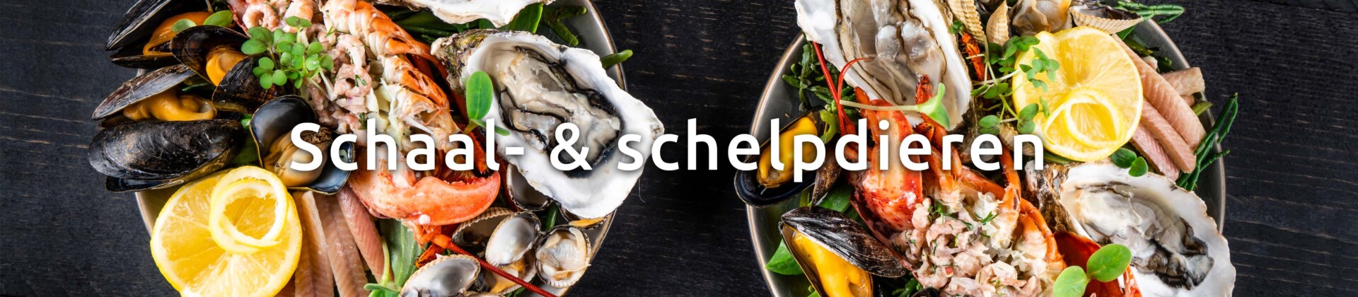 Schaal- & schelpdieren in allerlei soorten